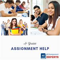 All Assignment Experts  Aron Royy