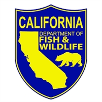 California Department of Fish and Wildlife Steve Goldman